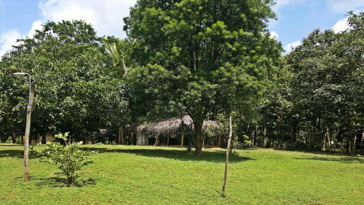 Penzion Eagle's Wings, Habarána