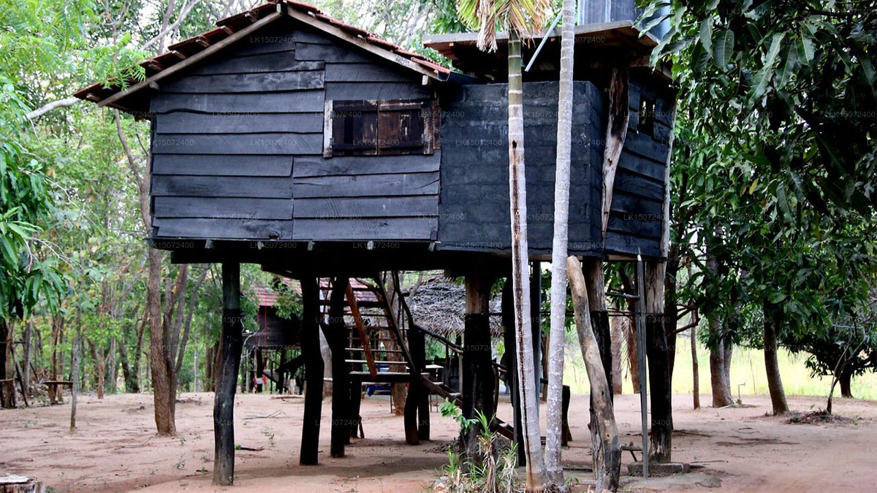 Penzion Eagle's Wings, Habarána