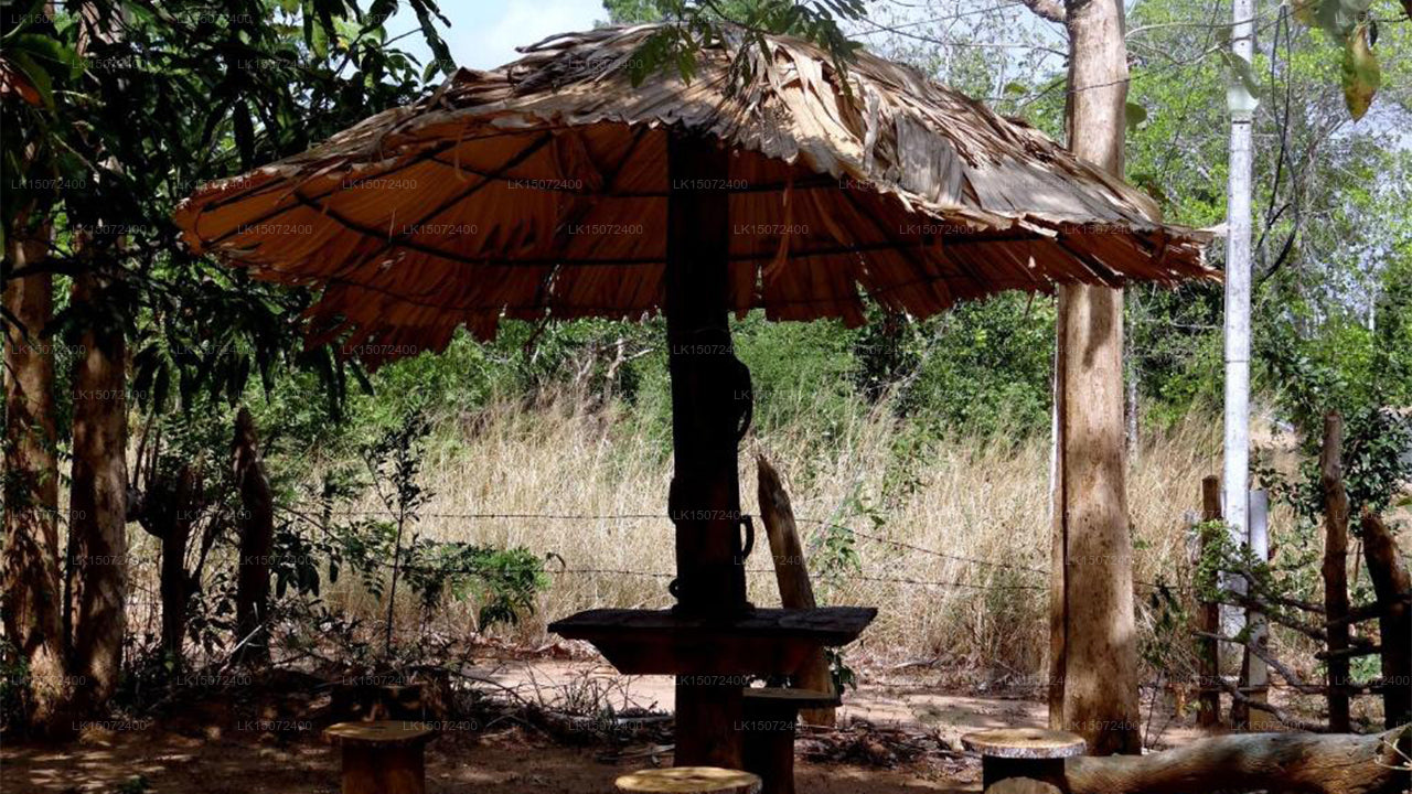 Penzion Eagle's Wings, Habarána