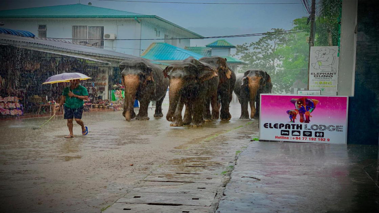Governors Lodge, Pinnawala