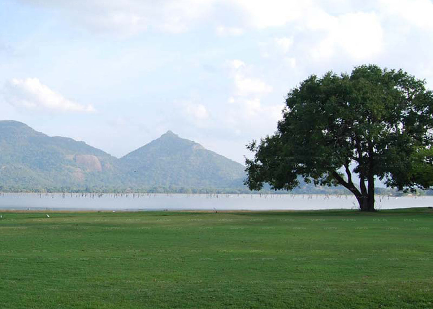 Heritage Dambulla, Dambulla