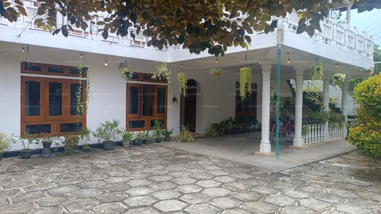 Jungle House, Udawalawe