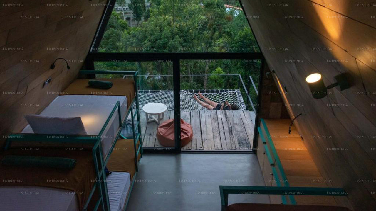 Wild Bee Hostel, Ella