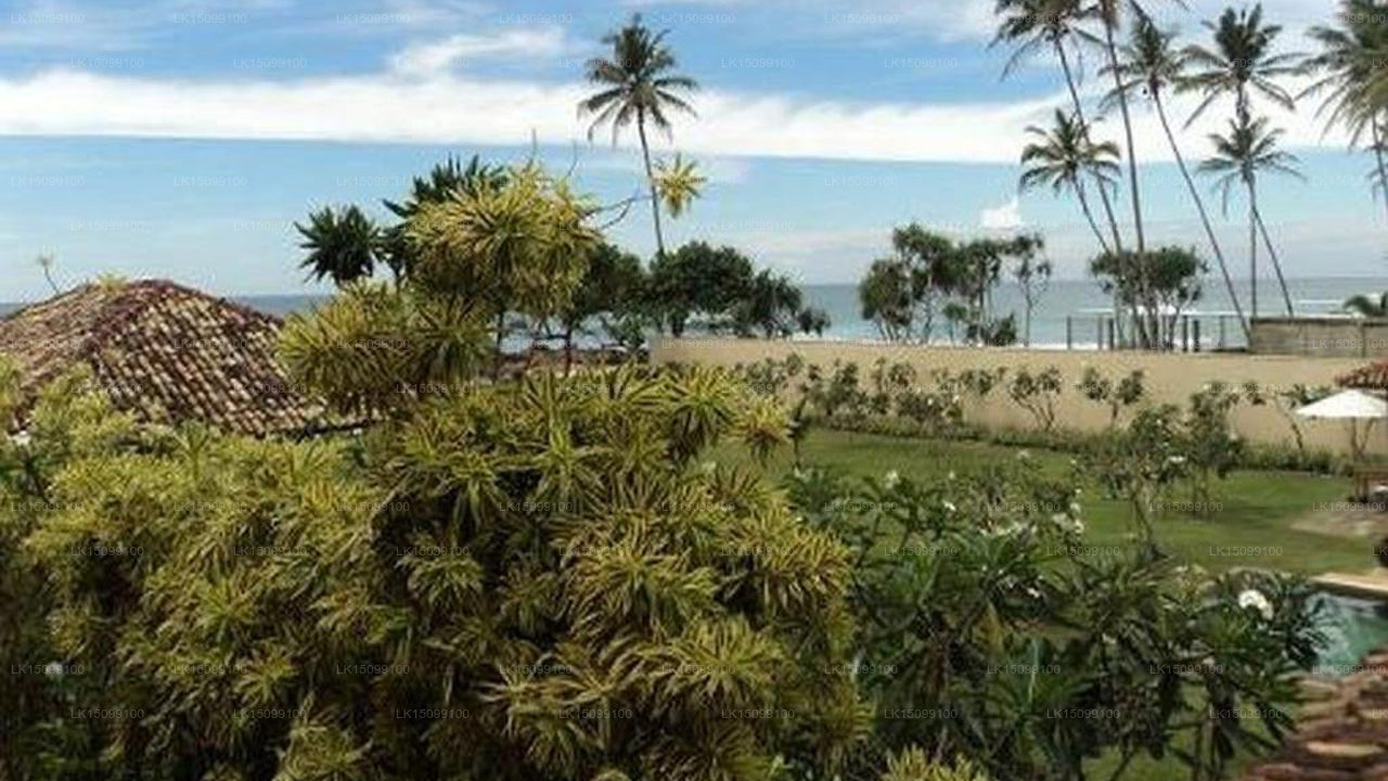 Kings Palm Villa, Unawatuna