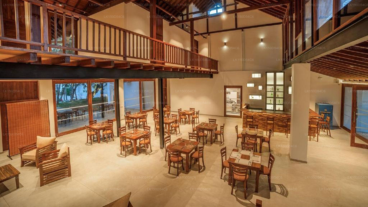 R Degrees Ambalangoda