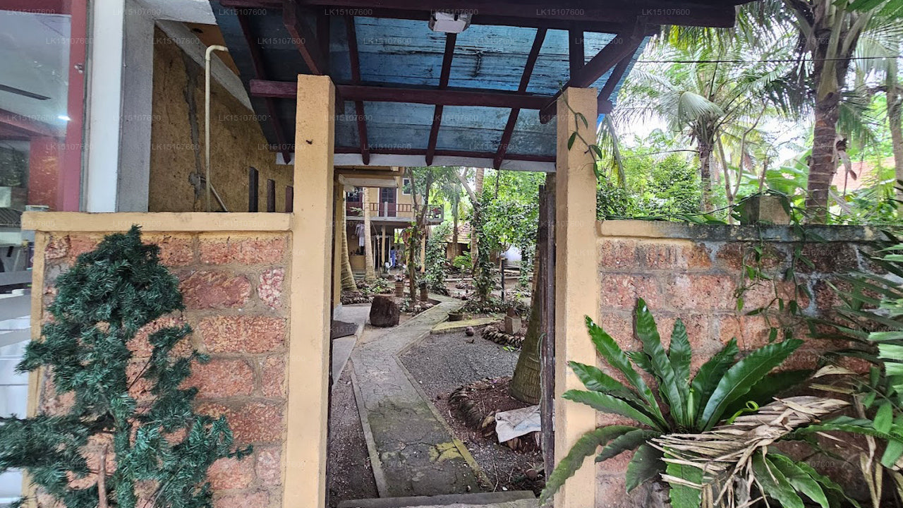 Ayurveda Kuma Villa, Kosgoda