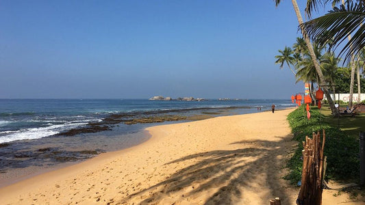 Sunflower Tourist Rest, Hikkaduwa