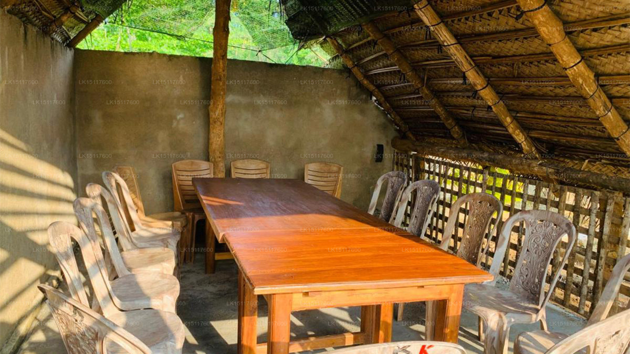 The Binthenna, Mahiyanganaya