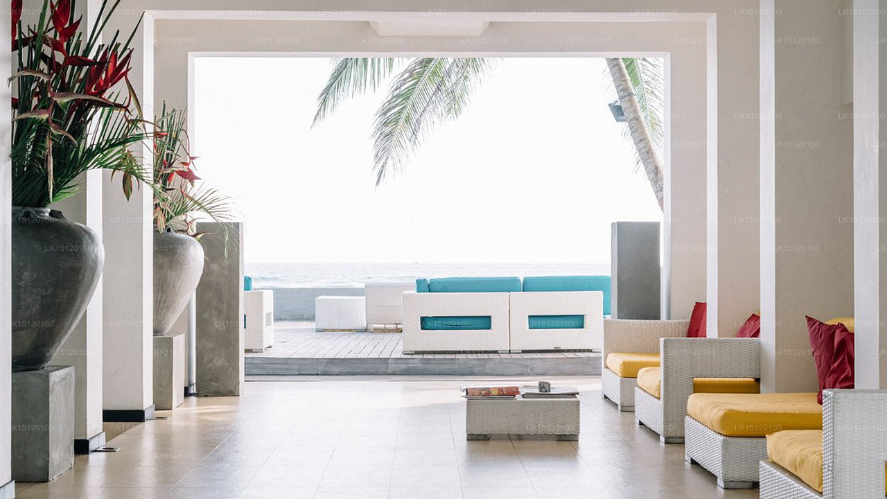 Cantaloupe Aqua, Thalpe