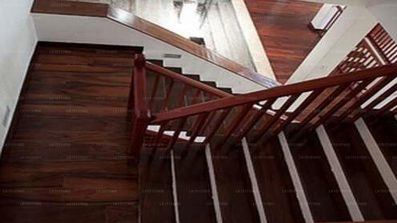 Dream Paradise, Kandy