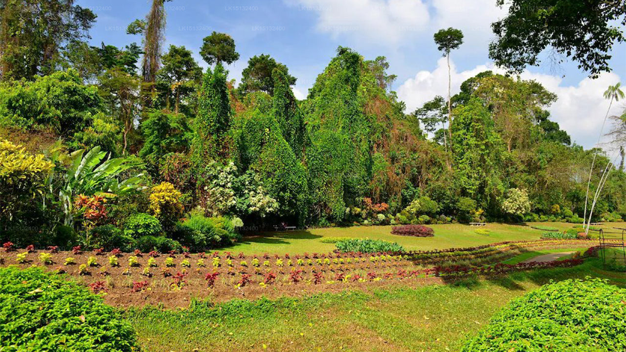 Thorana Bungalow, Kandy