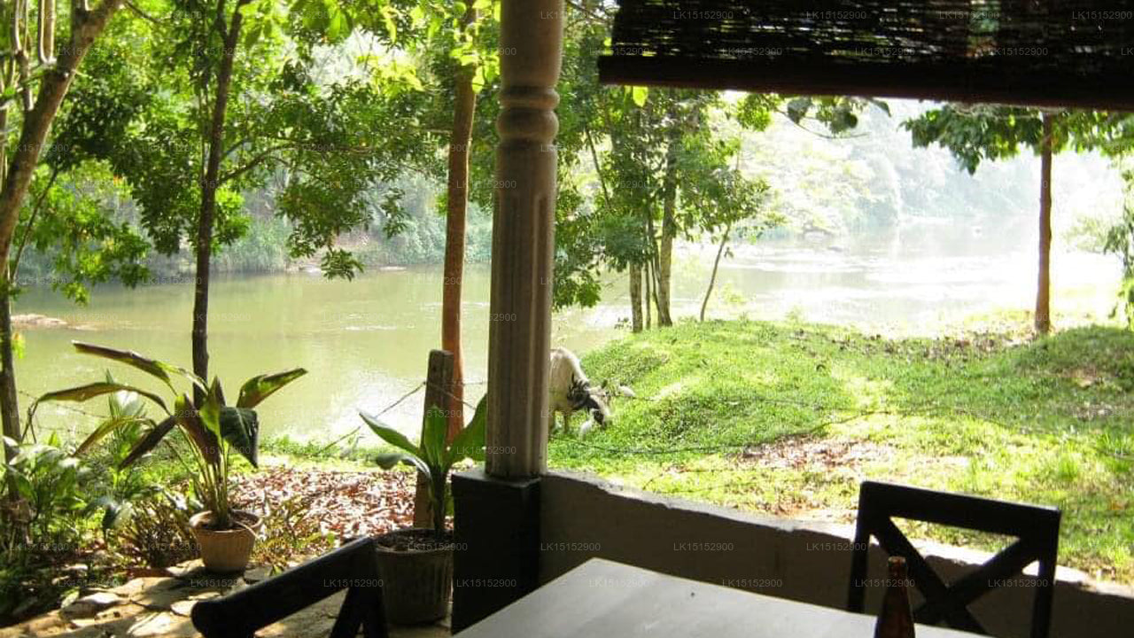 Sisira's River Lounge, Kitulgala