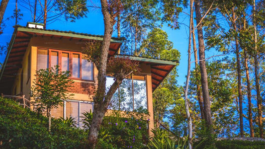 The Tea Cottage Resort, Nawalapitiya