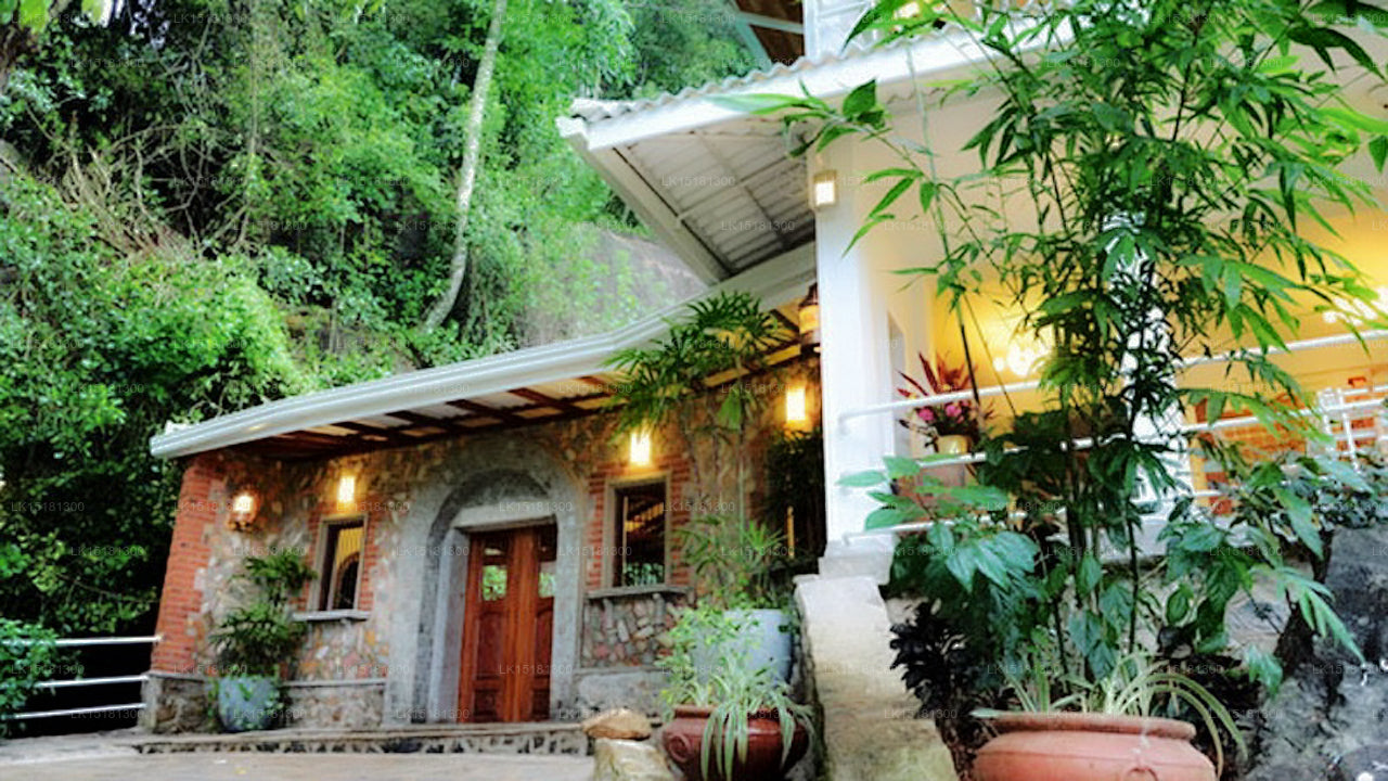 Lesní okraj, Kitulgala