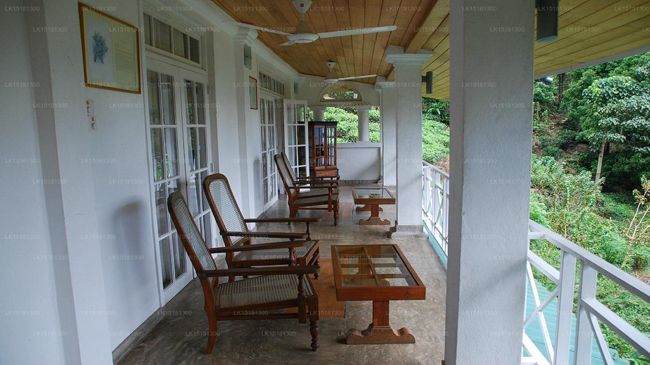 Lesní okraj, Kitulgala