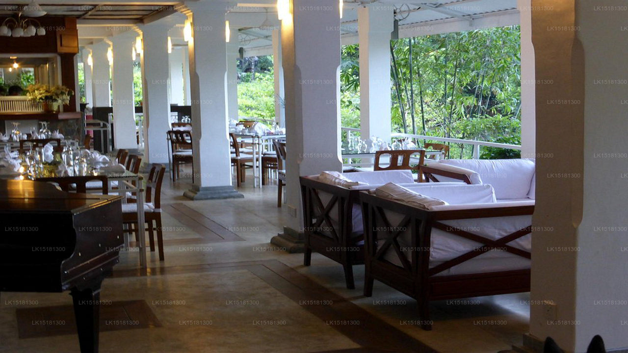 Lesní okraj, Kitulgala