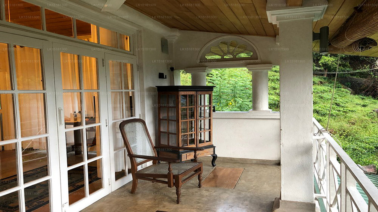 Lesní okraj, Kitulgala