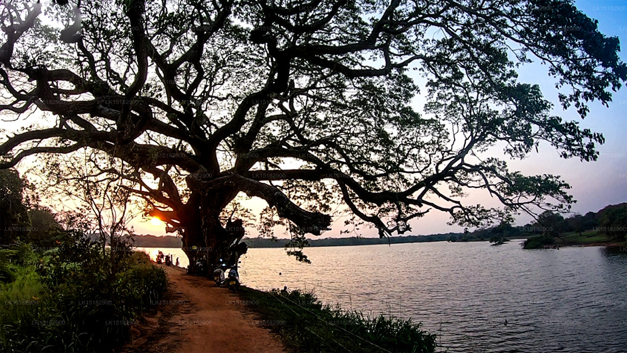 Dolosmahe Guest House, Wilpattu