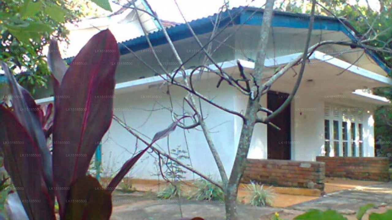 Kandy Tropical Garden House, Kandy