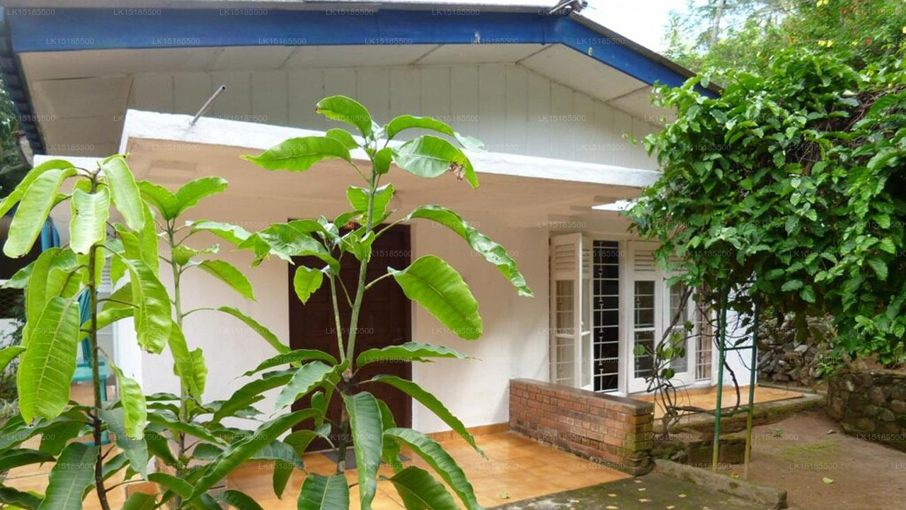 Kandy Tropical Garden House, Kandy