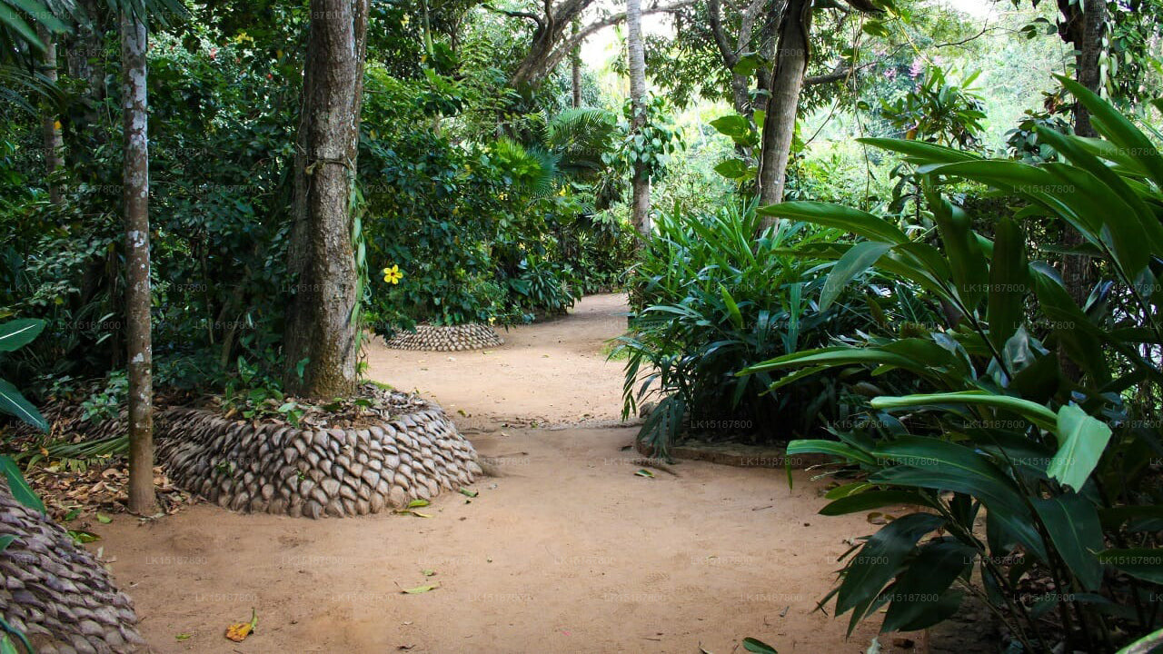 Paramount 200 Spice Garden, Matale