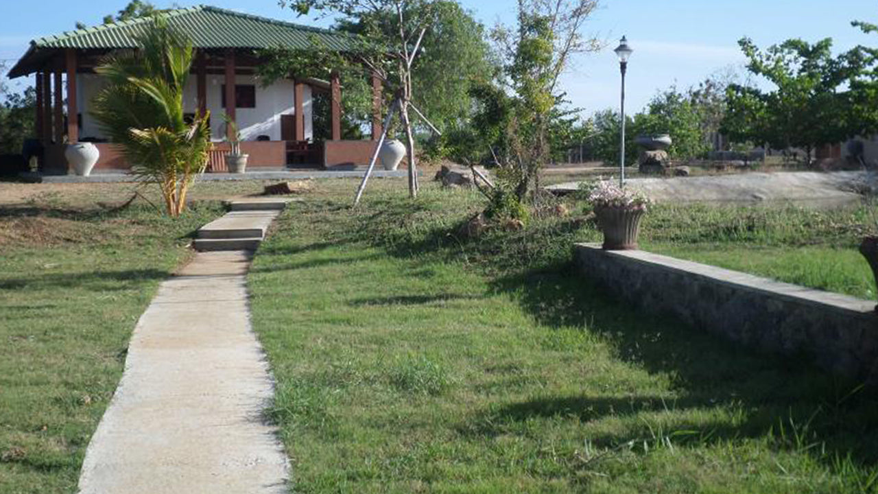 Crazy Peacock, Kirinda