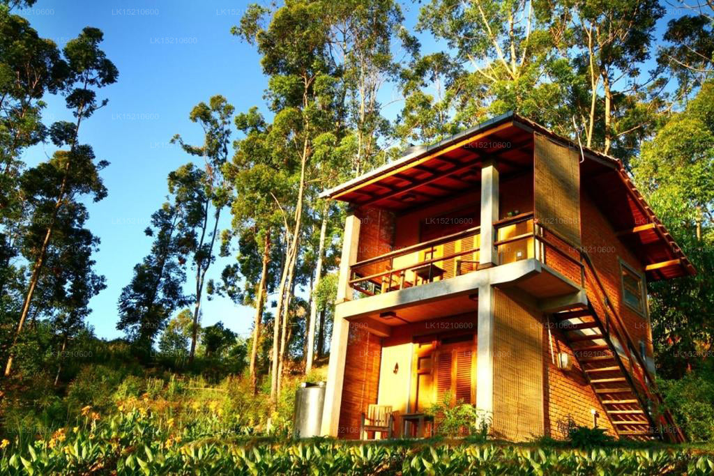 Chaty Ella Okreech, Ella