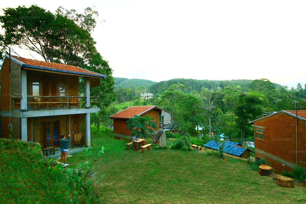 Chaty Ella Okreech, Ella