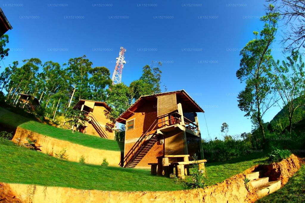 Chaty Ella Okreech, Ella