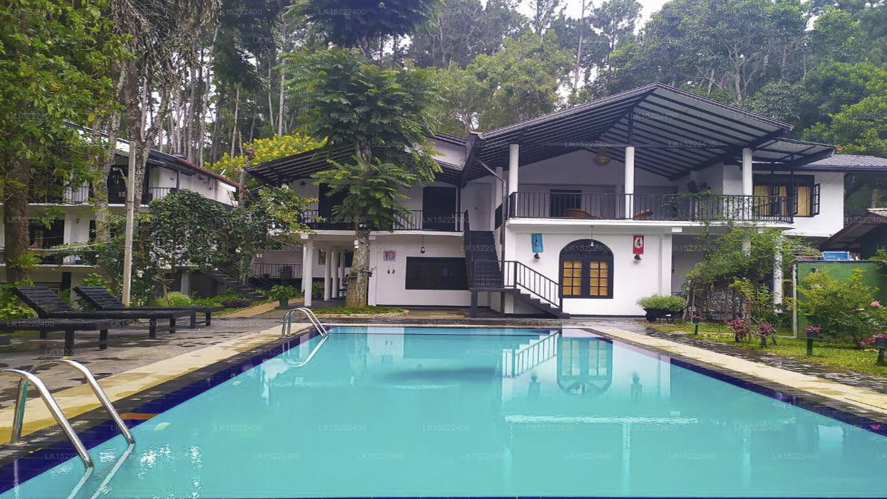 Forest Paradise, Ella