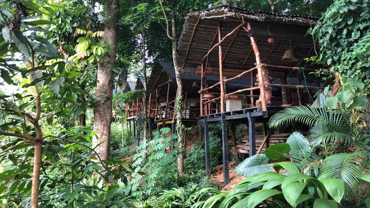 Borderlands Adveture Eco Lodge, Kitulgala