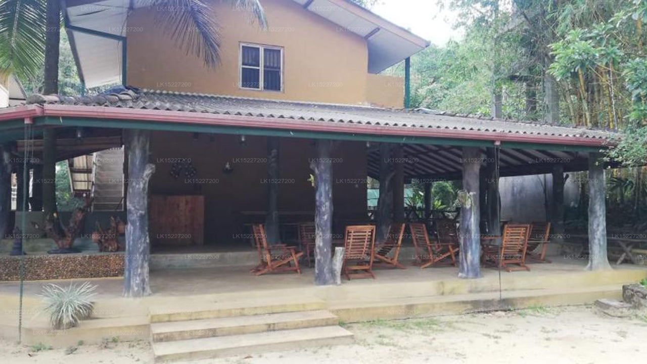 Sinharaja Birders Lodge, Sinharaja