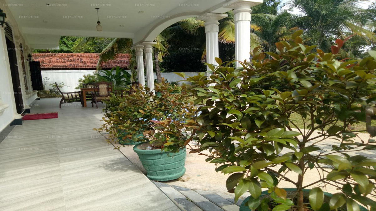 Hill House Rest, Mirissa