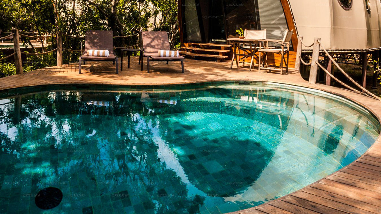 Wild Coast Tented Lodge, Yala