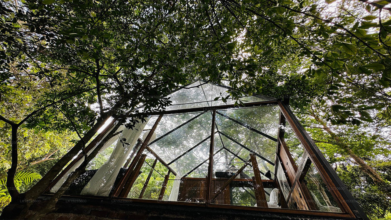 Diyabubula the Barberyn Art & Jungle Hideaway, Dambulla