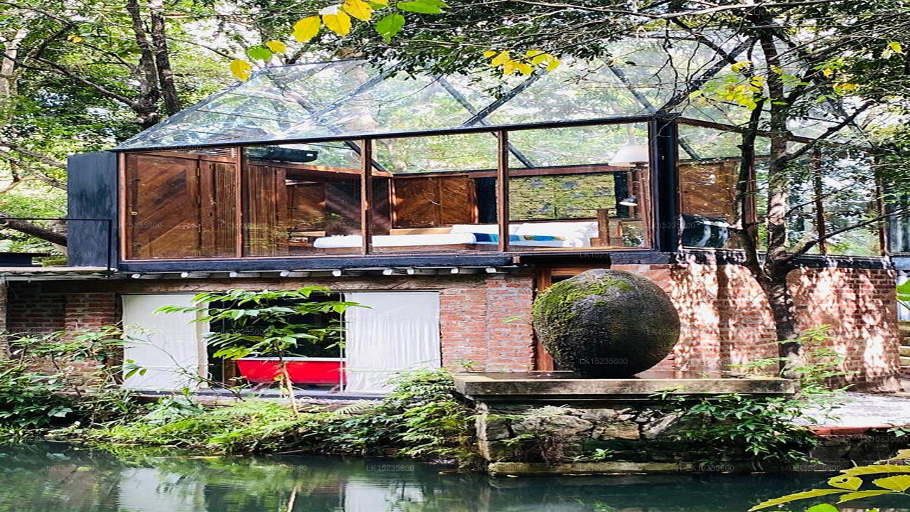 Diyabubula the Barberyn Art & Jungle Hideaway, Dambulla