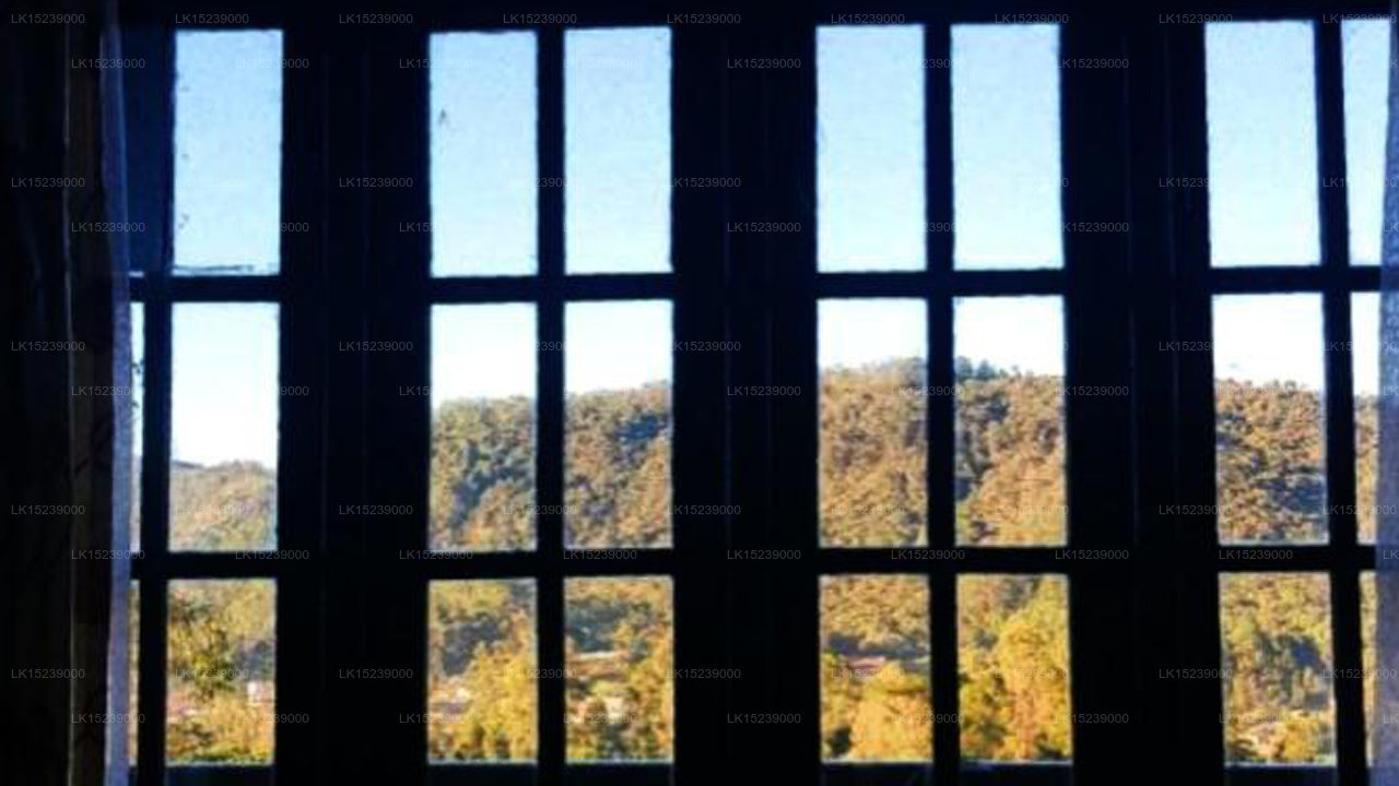 Chez Allen, Nuwara Eliya