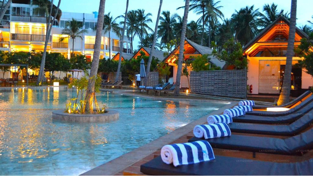 Blue Whale Resort, Kalpitiya