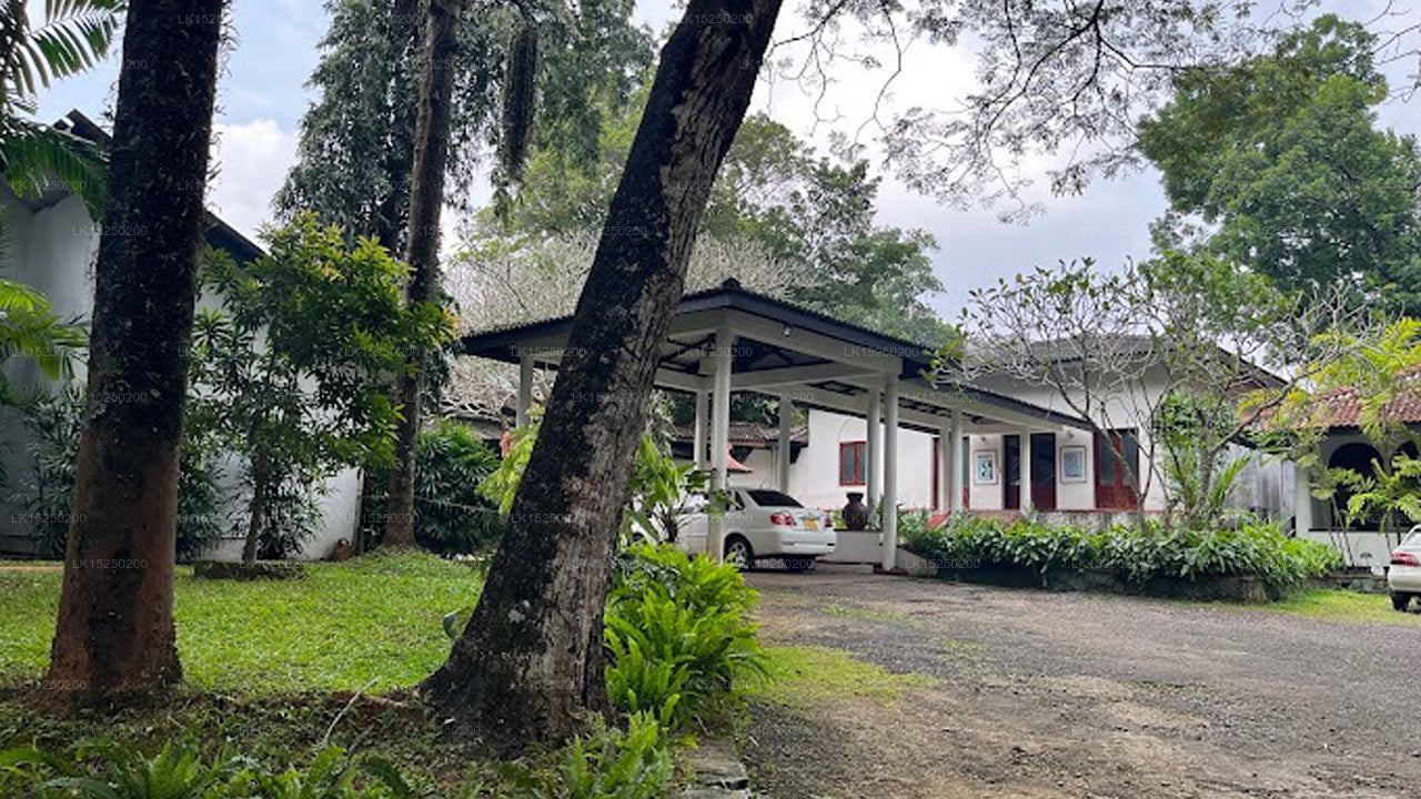 Elephant Villa, Ambepussa