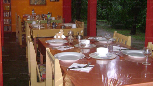 The Nest, Mahiyanganaya