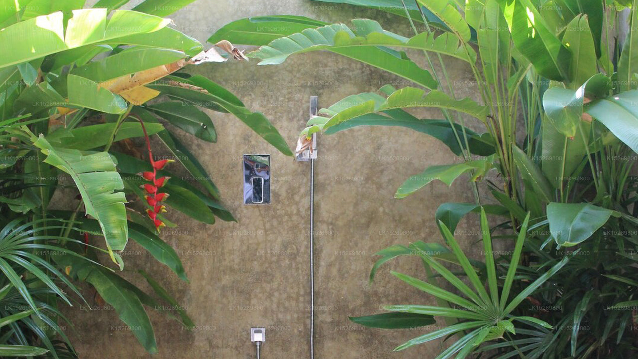 Cantaloupe House, Ahangama