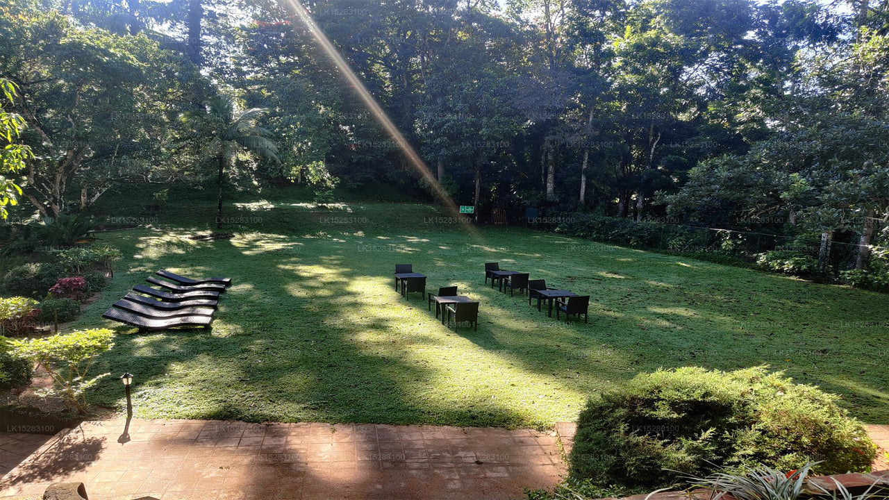 Homes Bungalow by Tree of Life, Kandy