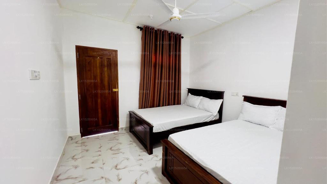 Coconut Leaf Shadow Guest, Nilaveli