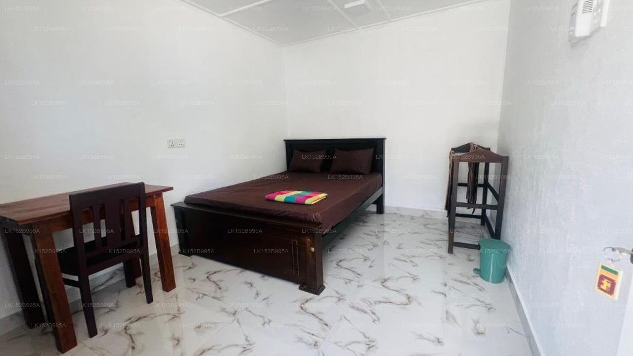 Coconut Leaf Shadow Guest, Nilaveli