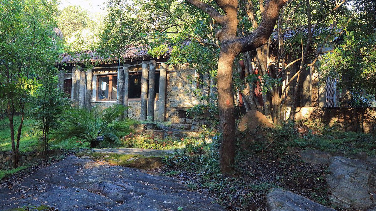 Arboretum Popham's, Dambulla