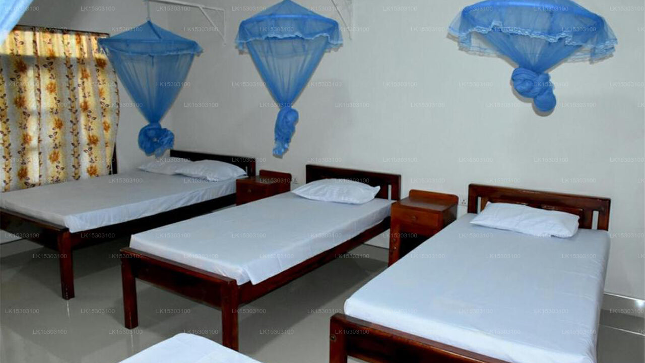 New Land Guest House, Pasikuda