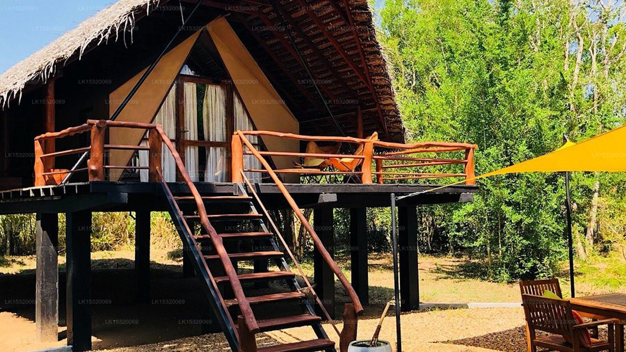 Ceylon Wilpattu Safaris & Lodging