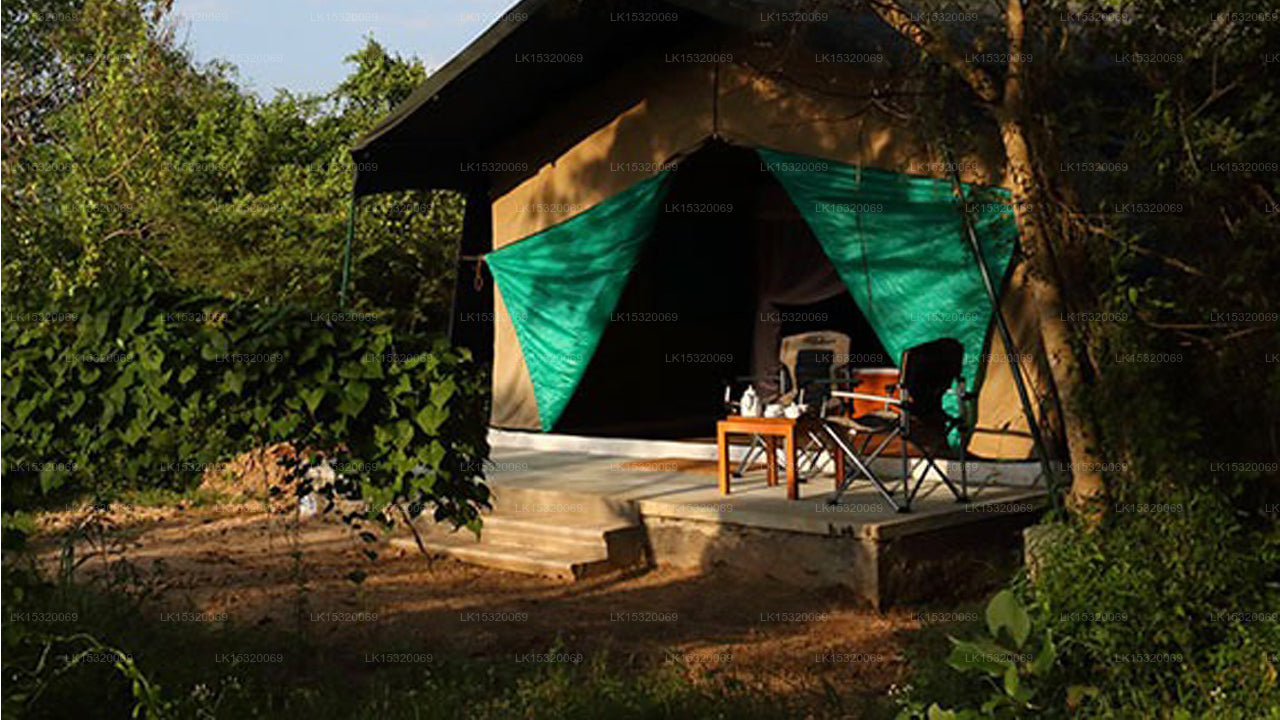 Ceylon Wilpattu Safaris & Lodging