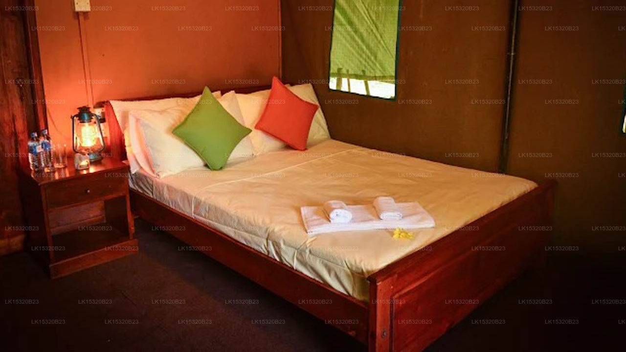 Camp Leopard - Yala Safari Glamping, Yala