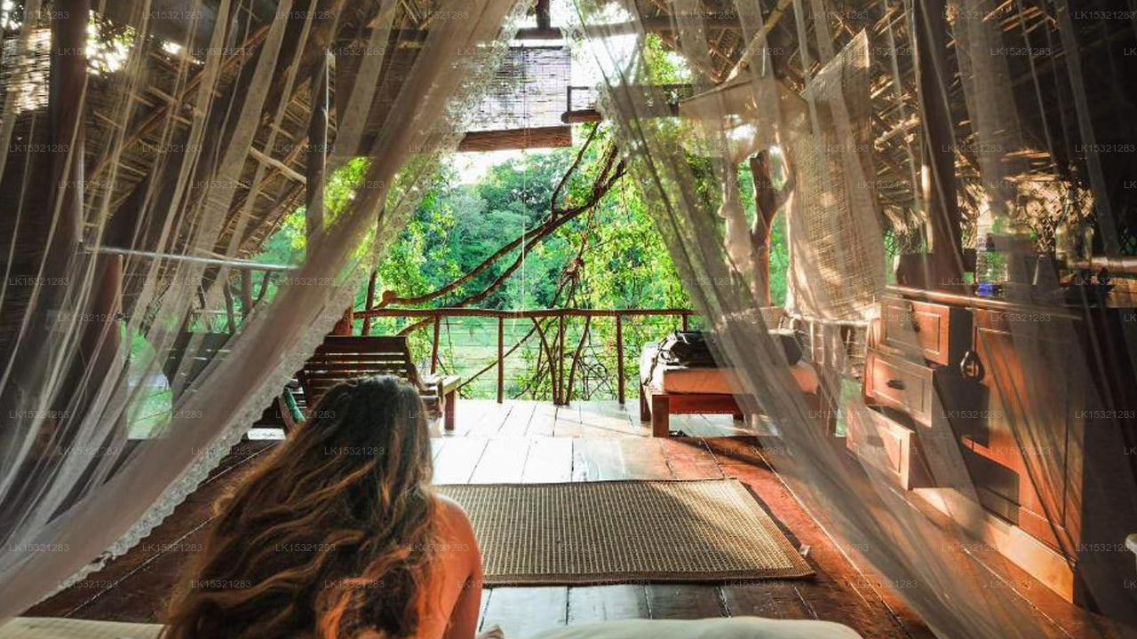 Back of Beyond Dehigaha Ela, Sigiriya